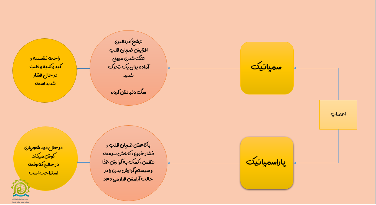 تاثیر موسیقی  بر روح و جسم انسان‌ها